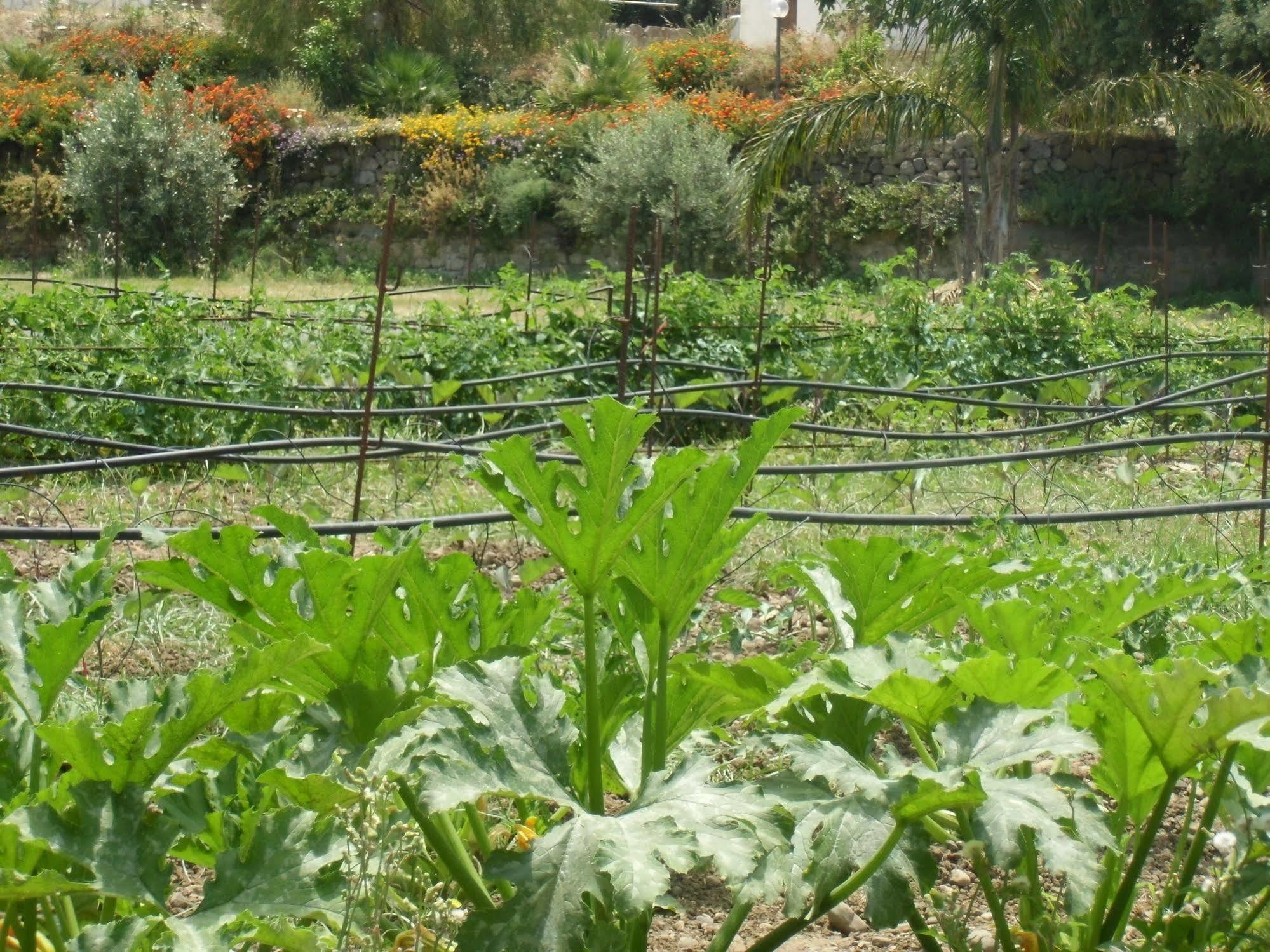Stella Di Sicilia Villa San Fratello Kültér fotó