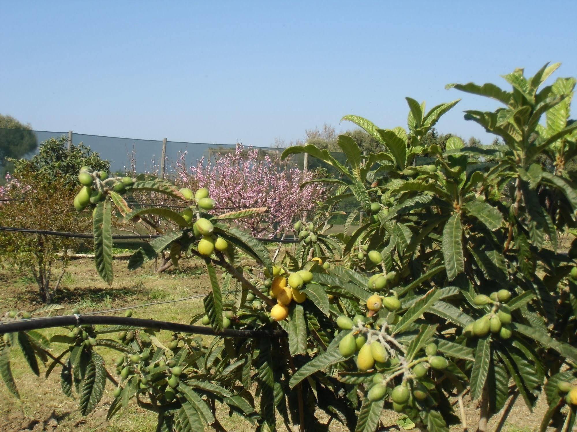 Stella Di Sicilia Villa San Fratello Kültér fotó